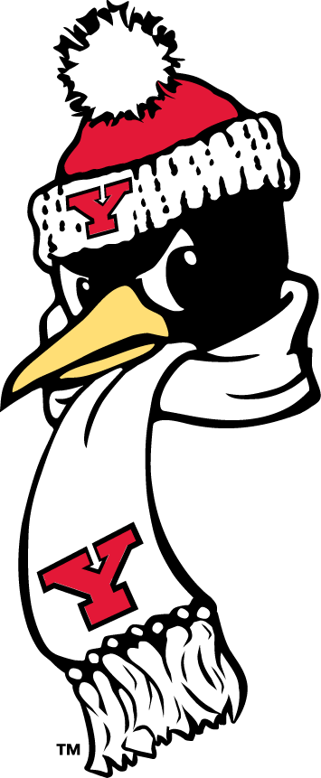 Youngstown State Penguins 1993-Pres Alternate Logo v5 diy iron on heat transfer